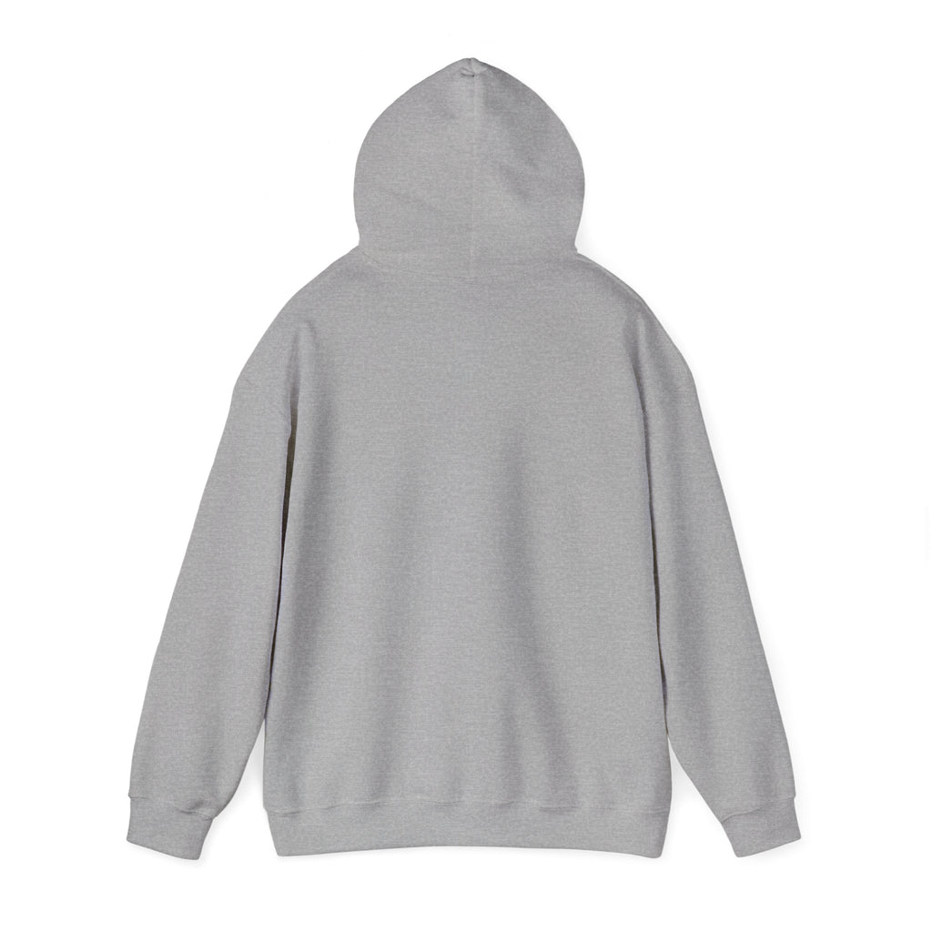 Knowledge Seeker Hoodie — "In Pursuit of Knowledge" Book Lover Sweatshirt