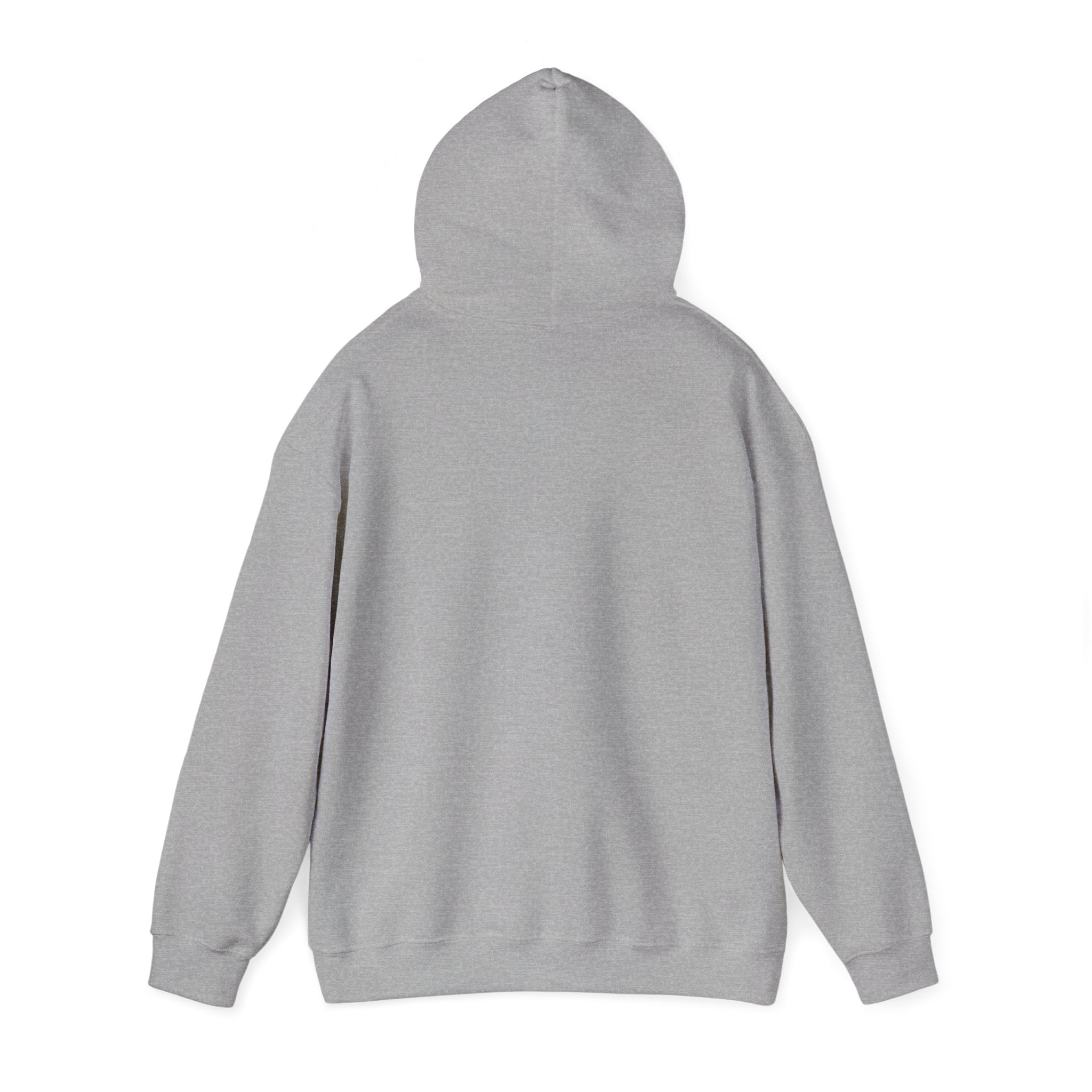 Knowledge Seeker Hoodie — "In Pursuit of Knowledge" Book Lover Sweatshirt