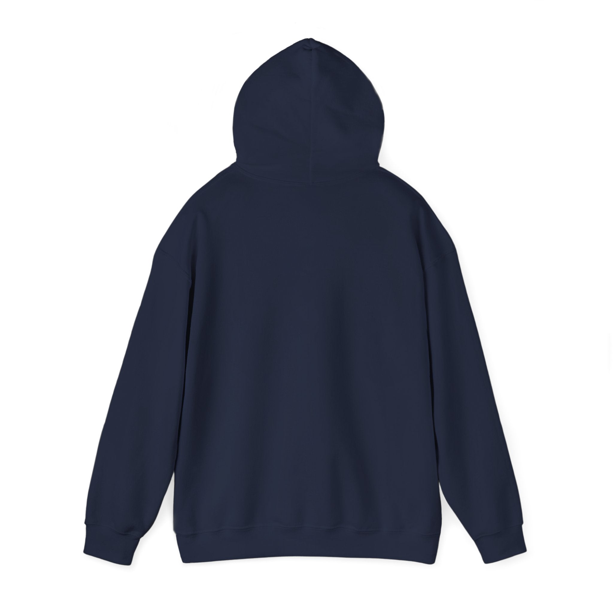 Knowledge Seeker Hoodie — "In Pursuit of Knowledge" Book Lover Sweatshirt