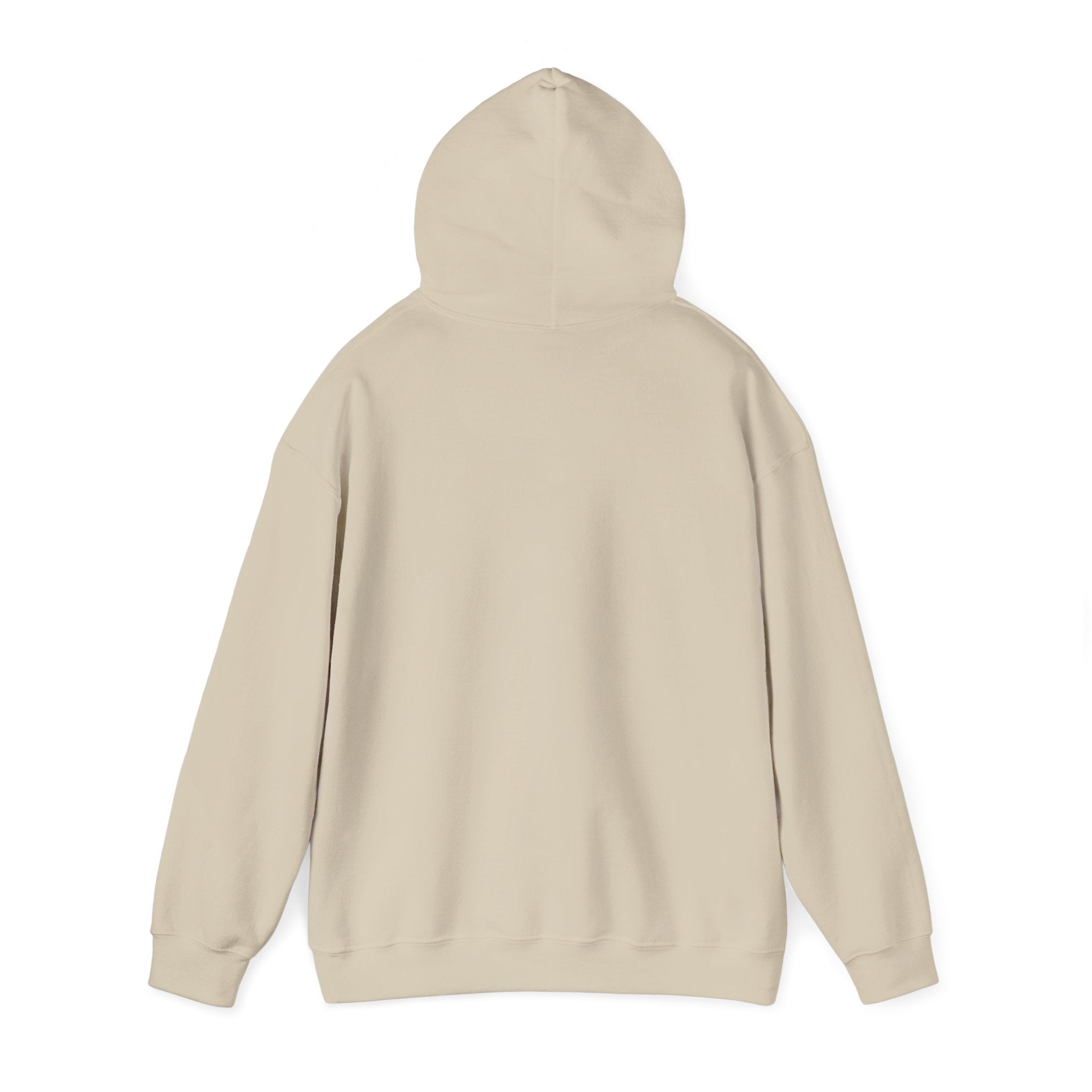 Knowledge Seeker Hoodie — "In Pursuit of Knowledge" Book Lover Sweatshirt