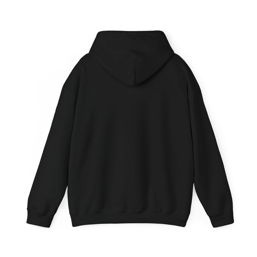 Knowledge Seeker Hoodie — "In Pursuit of Knowledge" Book Lover Sweatshirt